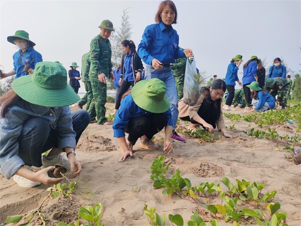 Đoàn trường Đại học Hoa Lư hưởng ứng Chương trình trồng 1 tỷ cây xanh `Vì một Việt Nam xanh` của Chính phủ.