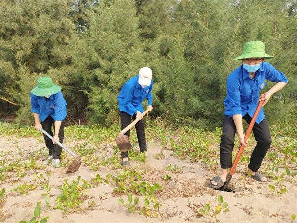 Đoàn trường Đại học Hoa Lư hưởng ứng Chương trình trồng 1 tỷ cây xanh `Vì một Việt Nam xanh` của Chính phủ.