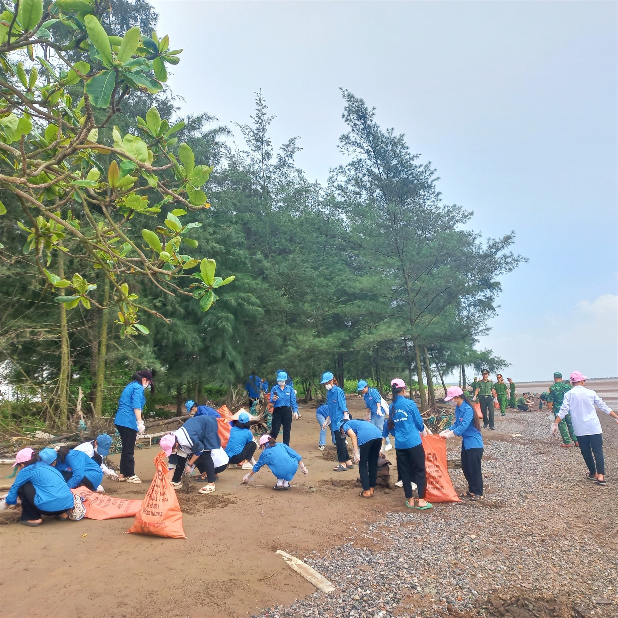 Đoàn viên, hội viên trường Đại học Hoa Lư tham gia Chương trình làm sạch biển tại xã Cồn Nổi, Huyện Kim Sơn