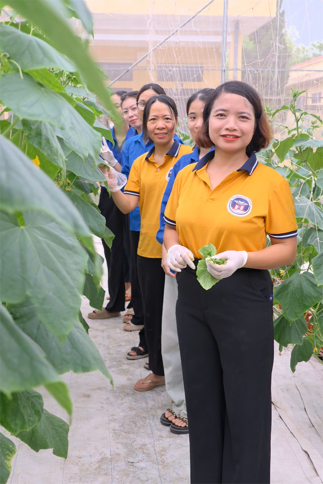 VƯỜN TRẢI NGHIỆM NÔNG NGHIỆP – HÀNH TRÌNH TỪ Ý TƯỞNG ĐẾN HIỆN THỰC